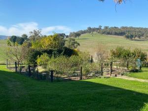 a fence in the middle of a green field at Mount Hope Estate Vineyard in Dixons Creek