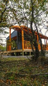 a house with a bench in front of a tree at Tiny House Suite Los Mallines de Malalcahuello in Malalcahuello