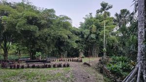 Zahrada ubytování Hostería Finca El Pigual