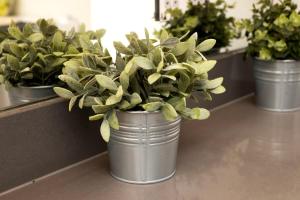 three potted plants in buckets on a counter at Stunning 2BR Apt Bromley Views Terrace in Bromley