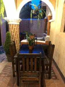 a table and chairs with a potted plant on it at Casa Familiar San Sebastian in Antigua Guatemala