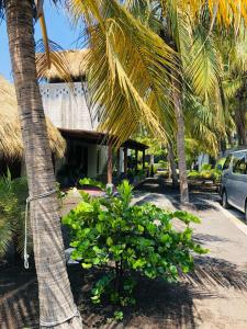 a group of palm trees in front of a house at Casa Familiar Birds, Puerto San Jose in La Barrita
