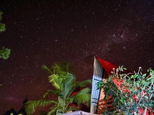 a starry night with a building and palm trees at Cabañas Alpinas en Oxapampa in Oxapampa