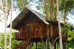 a tree house in the middle of trees at Hipilandia International Hostel in Leticia