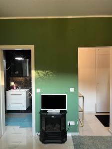una sala de estar con una pared verde y una chimenea con TV. en Guest room 1 en Quickborn