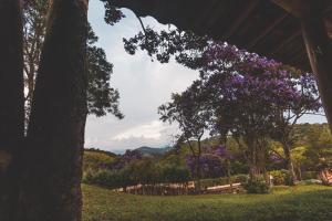 un grupo de árboles con flores púrpuras en un campo en Pousada Alto dos Manacás Chalés e Restaurante en Lima Duarte