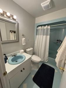 Fentress McMahan的住宿－Cozy Space Near Rough River Lake Adventures Await，一间带水槽、卫生间和淋浴的浴室