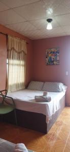 een slaapkamer met een groot bed en een raam bij Ofiuras Hostal in Colón