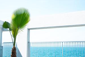 palma siedząca obok basenu w obiekcie 瀬戸内リゾートホテル w mieście Matsuyama