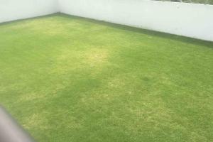 Φωτογραφία από το άλμπουμ του Residencia en Oaxtepec σε Oaxtepec +28 φωτογραφίες