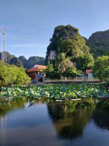 a body of water with plants in front of a mountain at Trang An Elegant Homestay in Ninh Binh