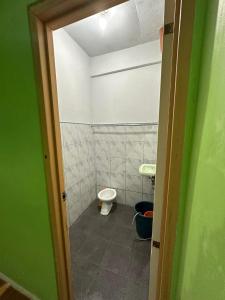 a bathroom with a toilet and a green wall at Sir Louie Lodging House in Majayjay