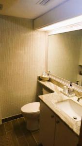ein Badezimmer mit einem WC, einem Waschbecken und einem Spiegel in der Unterkunft Palm Harbor Condo located within Innisbrook Golf Course in Palm Harbor
