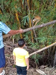 un hombre y un niño mirando a un mono en Casa la Picola, en Sierpe