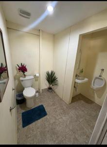 a bathroom with a toilet and a sink at Casa la Picola in Sierpe