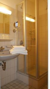 La salle de bains est pourvue d'une douche et d'un lavabo. dans l'établissement Hotel Garni Alte Post, à Schallbach