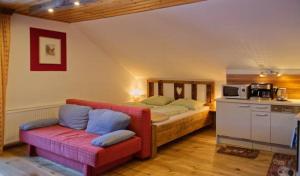 ein Schlafzimmer mit einem Bett und einem Sofa sowie eine Küche in der Unterkunft Ferienwohnungen Almsonne in Thomatal