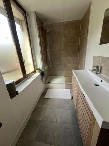 ein Bad mit einem Waschbecken und einer Dusche in der Unterkunft Charmant T3. Spacieux et cosy in Le Mée-sur-Seine