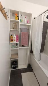 uma casa de banho com um chuveiro e uma cortina de chuveiro branca em Dijon Nobel em Dijon