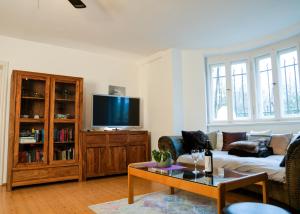 ein Wohnzimmer mit einem Sofa und einem TV in der Unterkunft Ferienwohnung Weintraube in Dresden