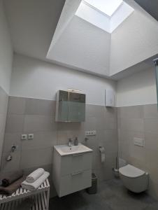a bathroom with a sink and a toilet and a skylight at Ferienwohnung Urban -Ekhof- in Gotha