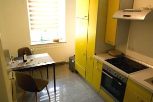 een kleine keuken met een fornuis en een wastafel bij Apartment Kompakt Gottschalk 2.0 in Kassel