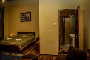 a hotel room with a bed and a bathroom at Vila Lazar in Borsec