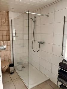 a shower with a glass door in a bathroom at Hannis-Hof in Meinerzhagen
