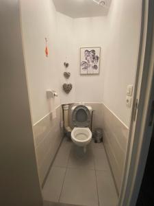 a bathroom with a toilet with a picture on the wall at Maison le palmier in Troarn