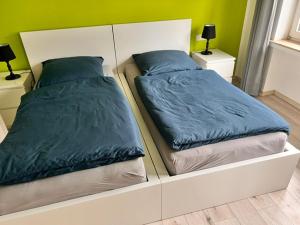 two beds in a room with a mirror at Hannis-Hof in Meinerzhagen