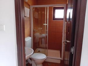 a bathroom with a toilet and a glass shower at Rusticanna in Ranca