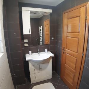uma casa de banho com um lavatório, um espelho e um WC. em Villa "Pool and Garden" em Sarajevo