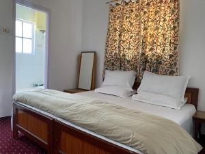 斯利那加的住宿－NIGEEN RESORT，床上有2个枕头