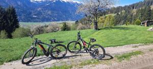 twee fietsen geparkeerd op een onverharde weg in een veld bij Ferienhaus Waldhof in Hermagor