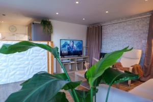 sala de estar con TV y planta en Le Loft D'Oc - Duplex 117m2 - 2 chambres et jardin, en Launaguet