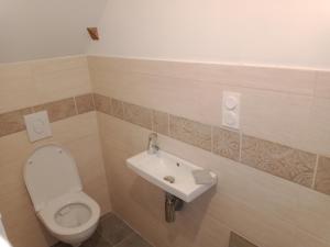 La salle de bains est pourvue de toilettes et d'un lavabo. dans l'établissement Le Baugyte - Gite de GROUPE - 14 lits simples, à Marcigny