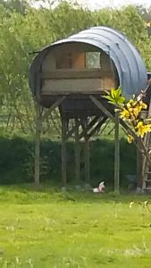 Zahrada ubytování CAMPING LES EMBRUNS 3*