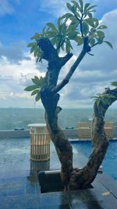 a statue of a bonsai tree in a pool at Azana Style Hotel Tulungagung in Tulungagung