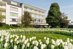 ein Feld weißer Tulpen vor einem Gebäude in der Unterkunft At the Park Hotel in Baden