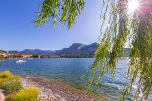 a view of a lake with mountains in the background at Novos Central Apartments in Lugano