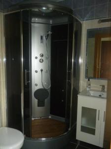 a bathroom with a shower and a toilet and a sink at Hotel Los Jardines de Lallosa in Las Rozas