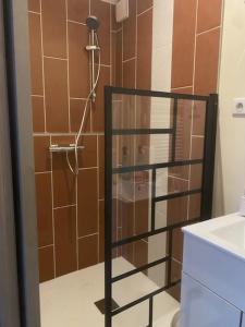 a shower with a glass door in a bathroom at Maison Halle in Pouxeux
