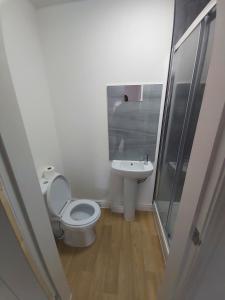 La salle de bains est pourvue de toilettes et d'un lavabo. dans l'établissement Masfol comfort zone, à Oldham