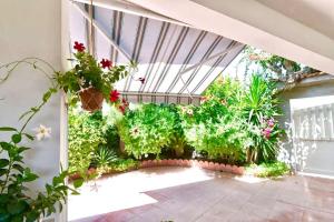 - un jardin avec des plantes et des fleurs dans la chambre dans l'établissement Nella spiaggia più bella, à Santa Maria Del Focallo