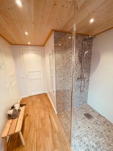 een douche in een kamer met een houten plafond bij Kiilu puhkemaja in Eametsa