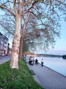 a group of people walking on a sidewalk next to a tree at Apartment Centar in Slavonski Brod
