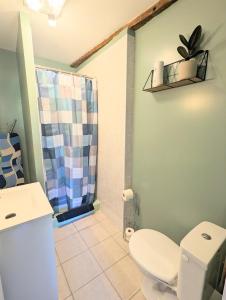 ein Bad mit einem WC und einer Dusche in der Unterkunft Studio Silhem in Saint-Germain-les-Belles