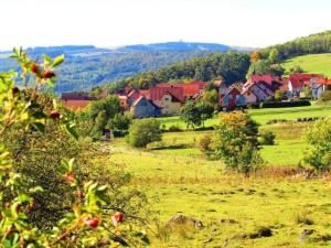 un piccolo villaggio in un campo verde con case di Ferienwohnung Rhönwiese a Birx