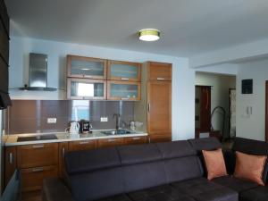 salon z kanapą i kuchnią w obiekcie Apartman AidaLux w mieście Bijela Glavica +20 zdjęć