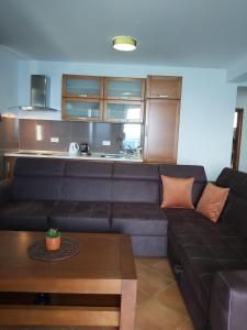 ein Wohnzimmer mit einem schwarzen Sofa und einem Tisch in der Unterkunft Apartman AidaLux in Bijela Glavica